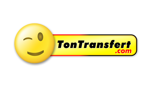logo_marque_ton_transfert.png