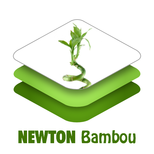 logo_newton_bambou.png