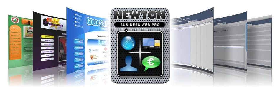 Logo Newton Business Gestion  